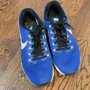 Nike Zoom Pegasus 34